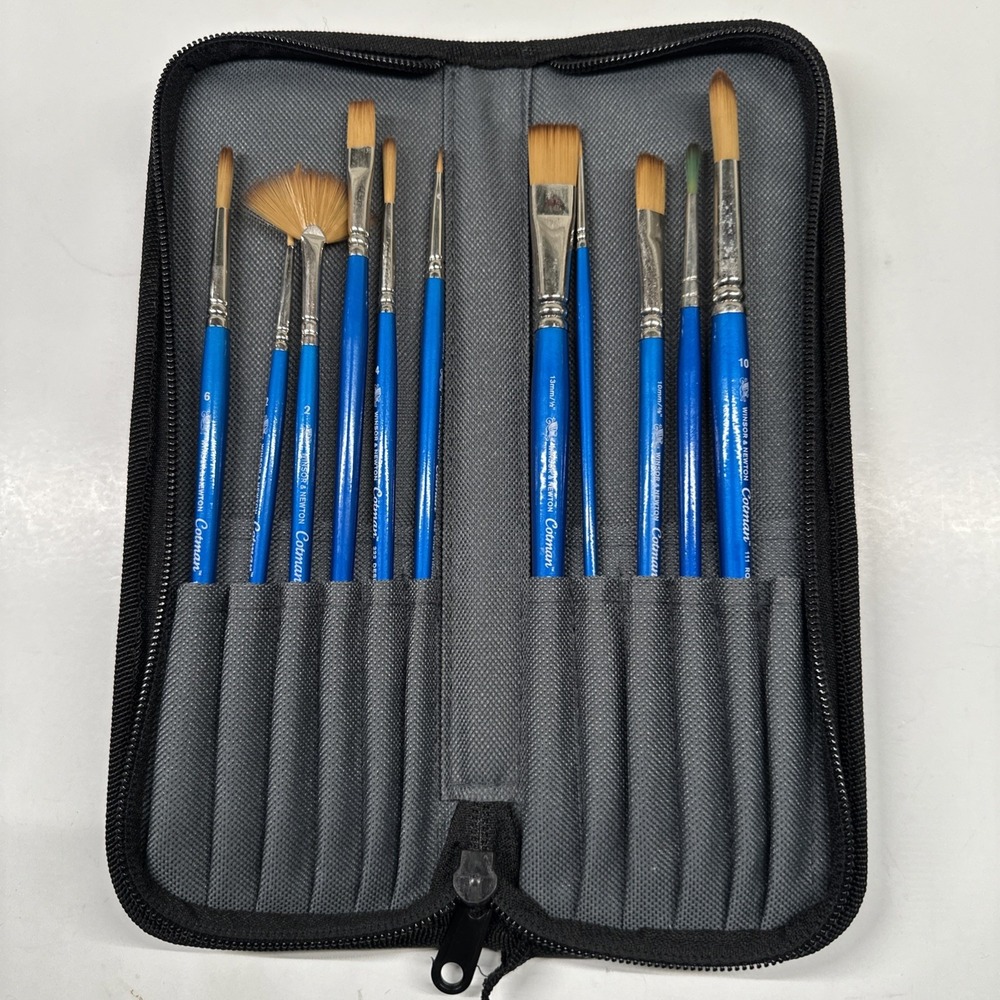 Winsor & Newton Cotman Watercolor Paint Brush Brushes Lot Zipperd Case Flat Fan+